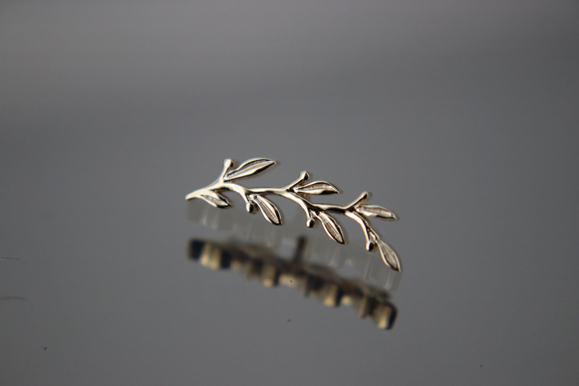 BVLA Large Amity 🌿 Threaded End | Fundamental Body Piercing