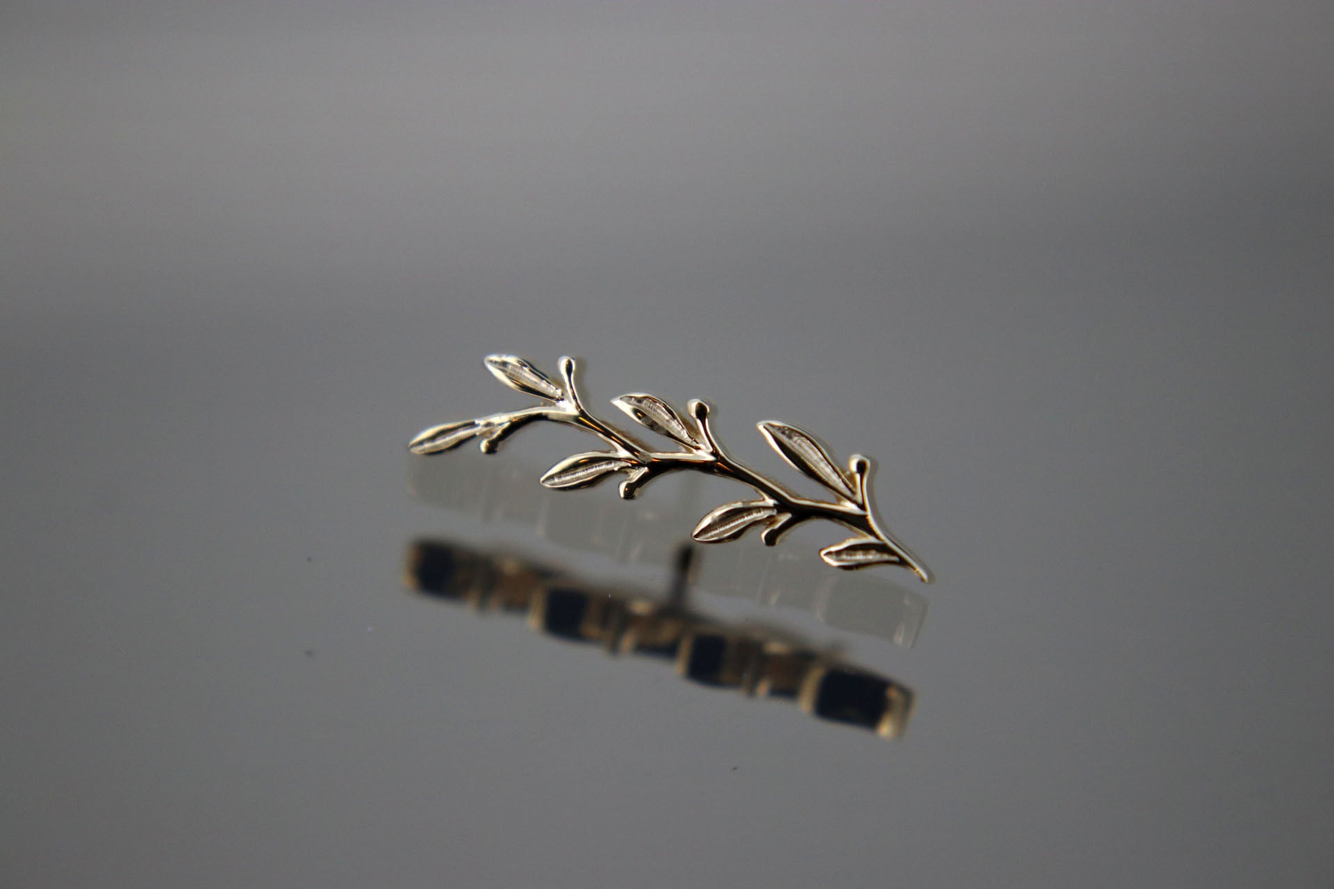 BVLA Large Amity 🌿 Threaded End | Fundamental Body Piercing