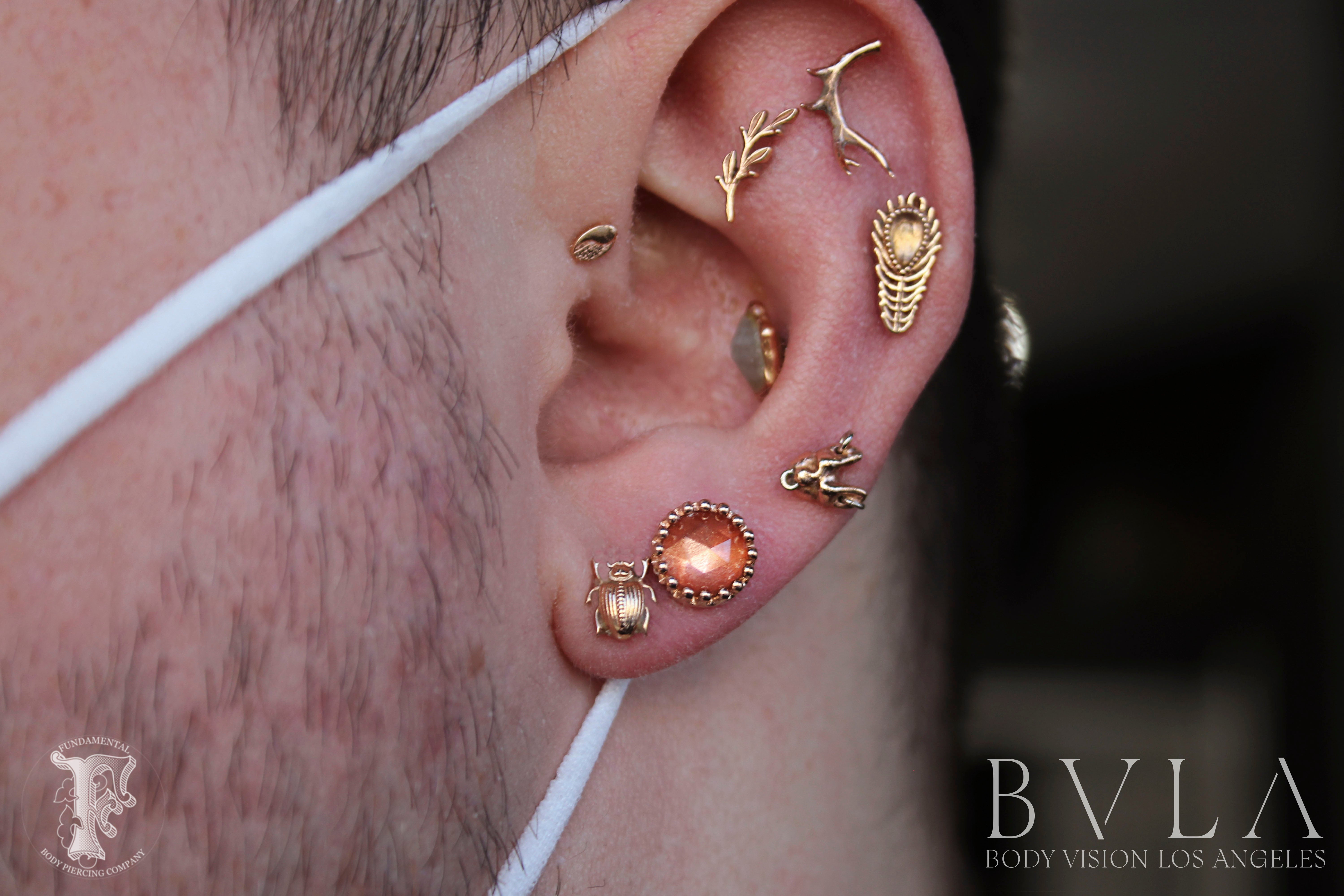 BVLA Crown Prong Ends Fundamental Body Piercing Chicago