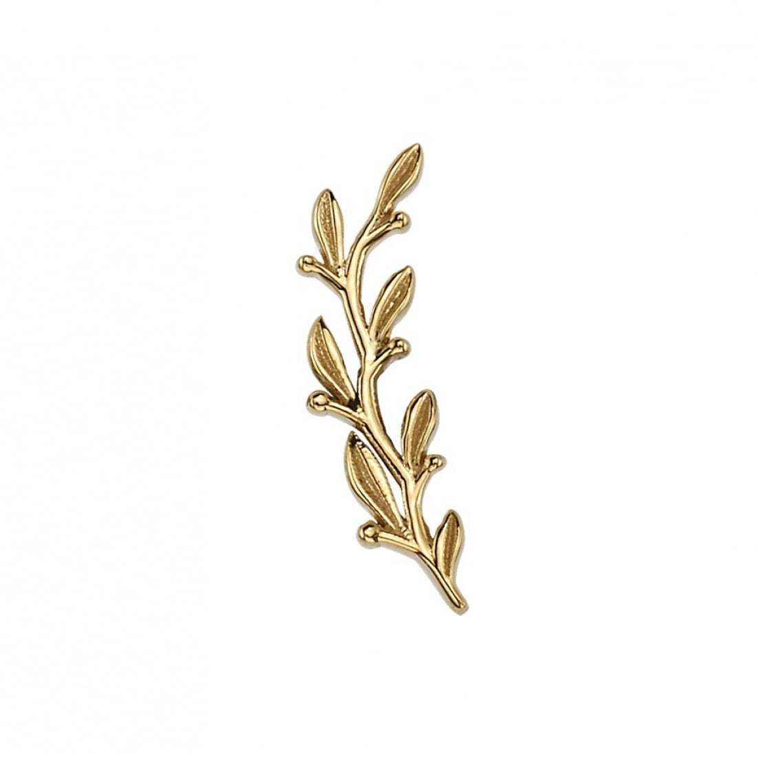 BVLA Large Amity 🌿 Threaded End | Fundamental Body Piercing