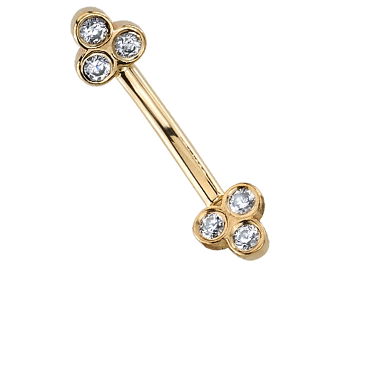 Curved Barbell | Fundamental Body Piercing Chicago