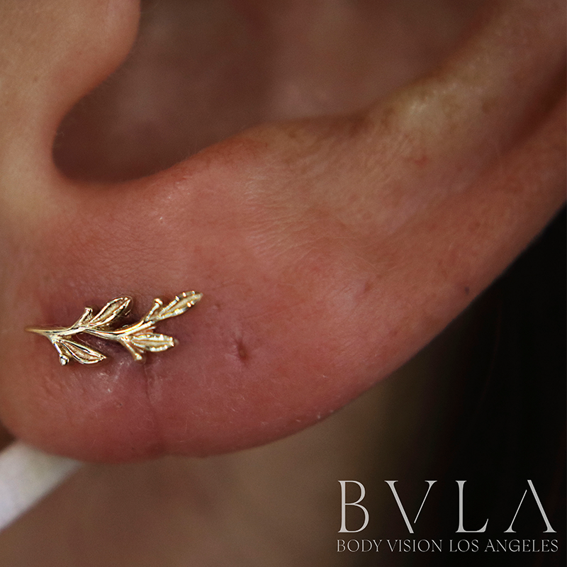 do you have all the piercings you want already? if not, what's in your  plans? i want to put a gold tear from BVLA under my eye (surface anchor)  and then I'm